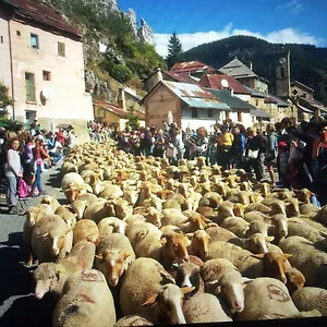 Le Chalet Des Buisses Maison d'hôtes